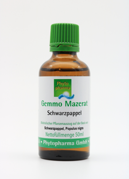 Gemmo Mazerat Schwarzpappel (Populus nigra)